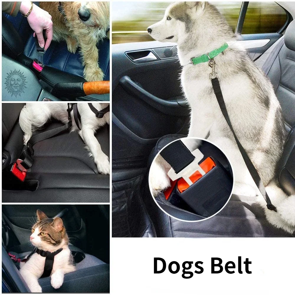 Adjustable Pet Car Seat Belt & Harness – Secure Travel for Dogs - Image 35