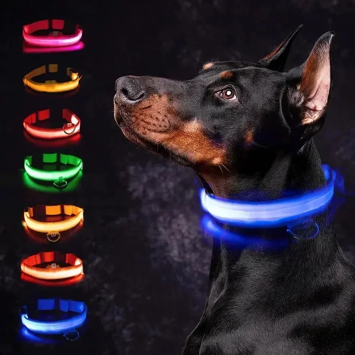 LED Glowing Dog Collar – Rechargeable Night Safety Light for Pets