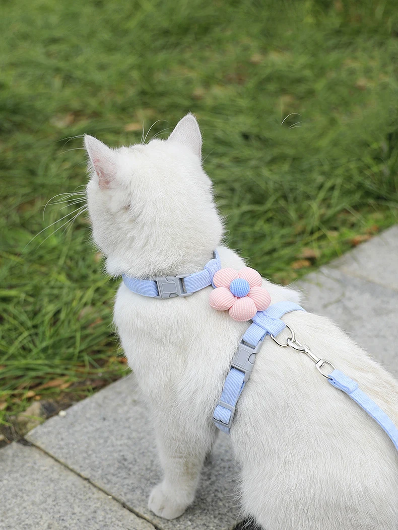 Cat Harness and Leash Sets Adjustable Dog Harness for Small Dog Leash Breashable Pet Harness Out Walking Dog Strap - Image 20