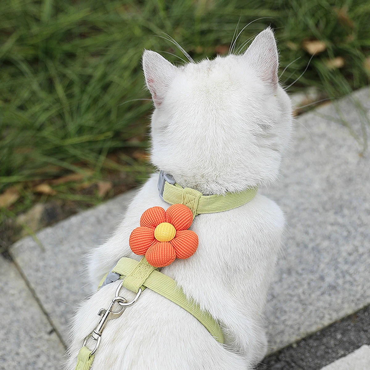 Cat Harness and Leash Sets Adjustable Dog Harness for Small Dog Leash Breashable Pet Harness Out Walking Dog Strap - Image 13