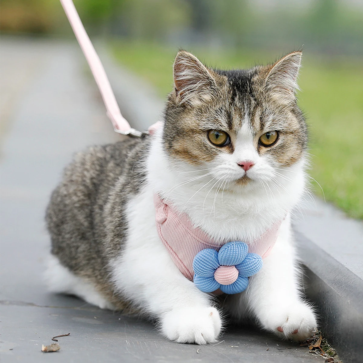 Cat Harness and Leash Sets Adjustable Dog Harness for Small Dog Leash Breashable Pet Harness Out Walking Dog Strap - Image 23