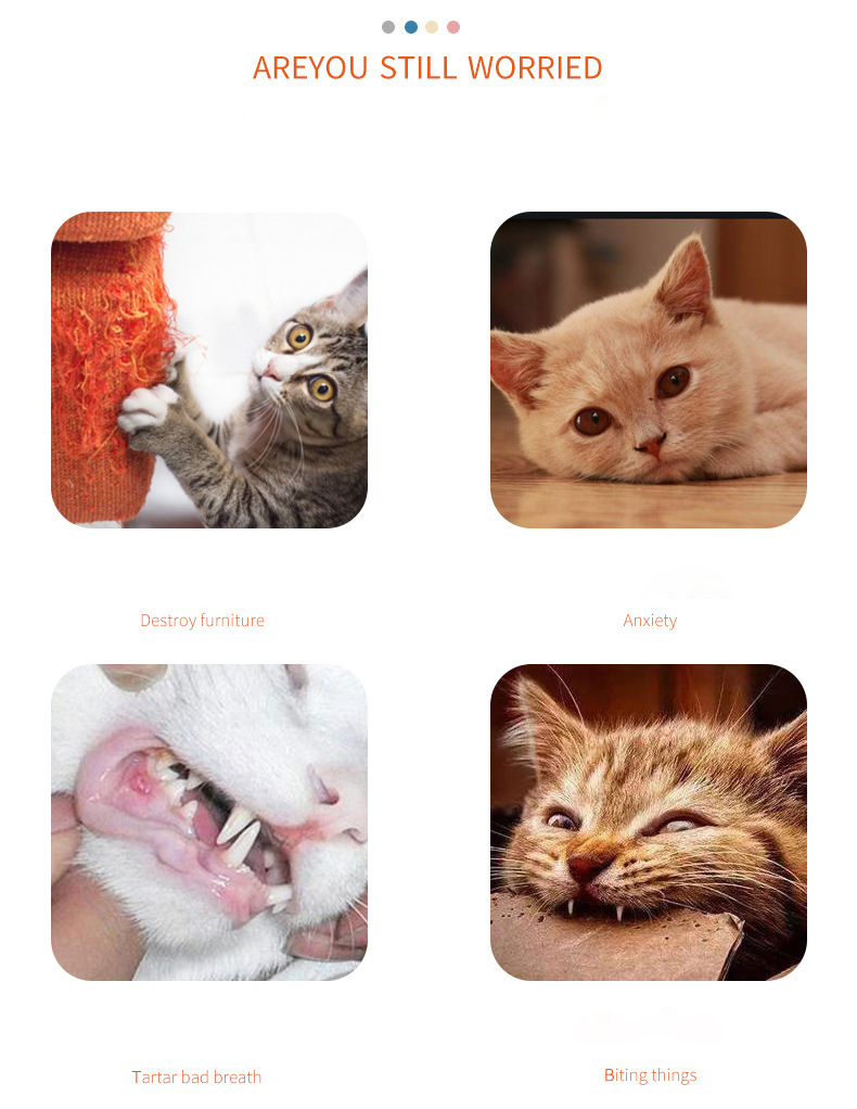 Simulation Feather Interactive Cat Toy Satin Ribbon Bell Cat Stick Toys Kitten Playing Teaser Wand Toy Cat Supplies Accessories - Image 10