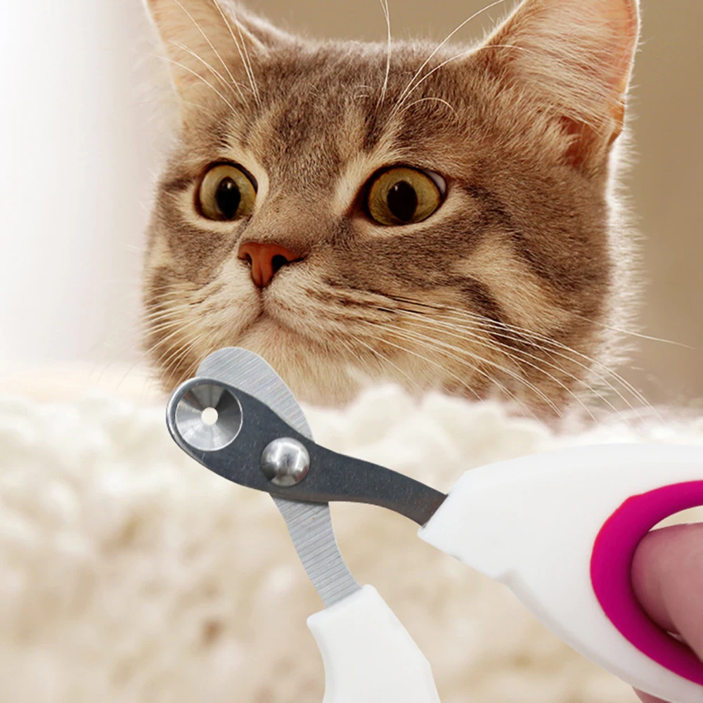 Small Blind Cat Nail Clippers Small Blind Cat Nail Clippers Special Pet Nail Clippers - Image 2