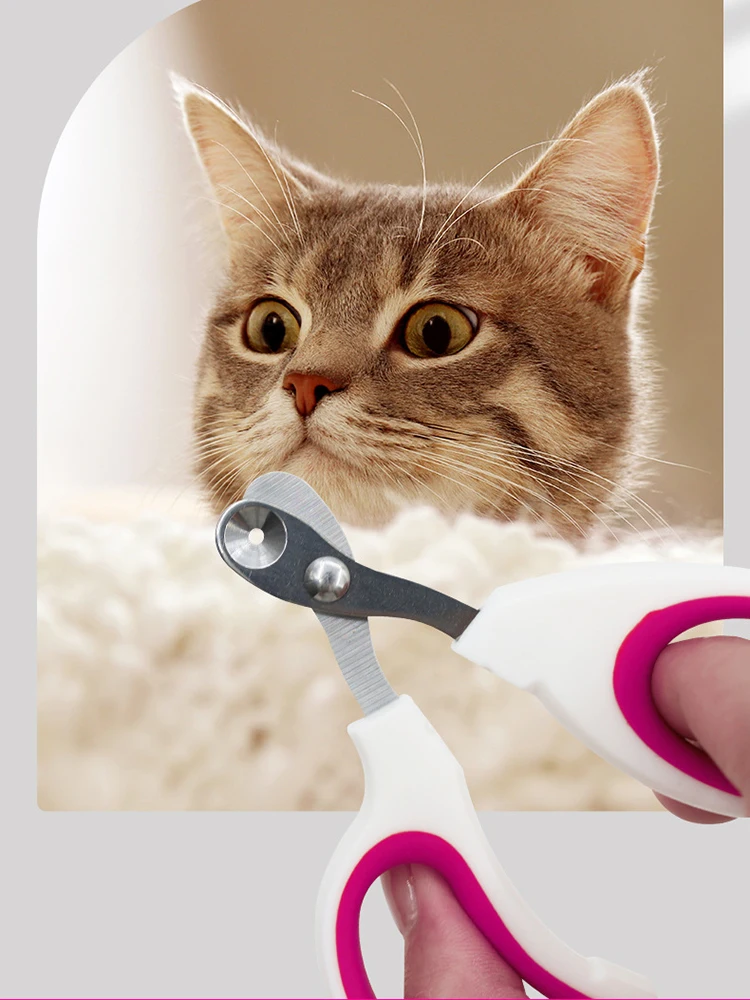 Small Blind Cat Nail Clippers Small Blind Cat Nail Clippers Special Pet Nail Clippers - Image 9
